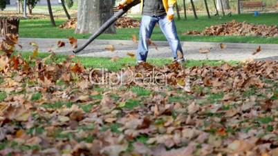 leaf cleaner
