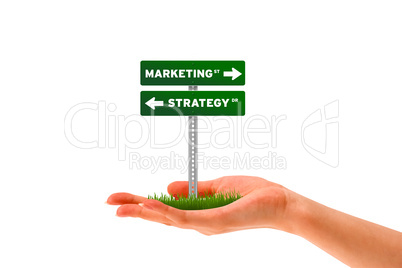 Marketing and Strategy