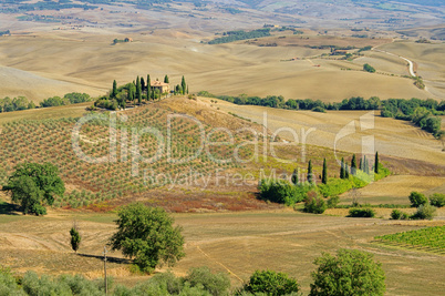 Podere im Herbst - Podere in fall 19