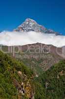 Himalaya Landscape: mountain and forest