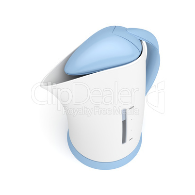 Electric kettle