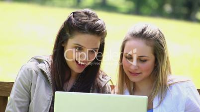junge Frauen mit Laptop im Park