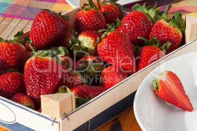 Frische Erdbeeren in der Obstkiste