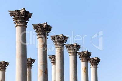 Capitol columns in National Arboretum DC