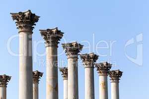 Capitol columns in National Arboretum DC
