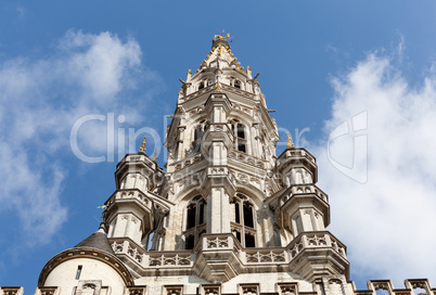 Tower of Brussels City Hall in telephoto shot
