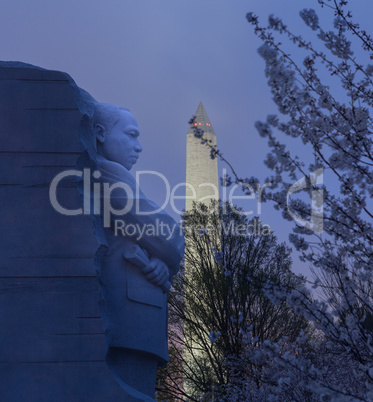 Cherry blossoms and MLK monument