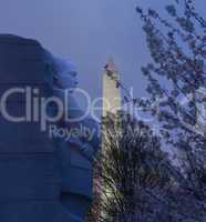 Cherry blossoms and MLK monument