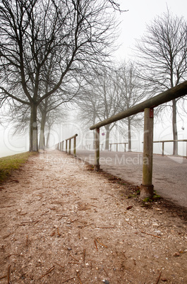 Nebel am Rhein