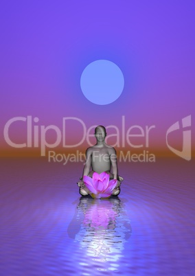 Meditation and waterlily