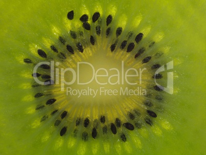 Kiwi Fruit