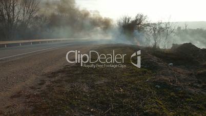 Forest fire on the roadside