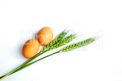 Green wheat ears and eggs