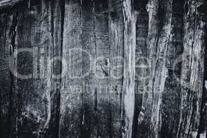 black wood texture