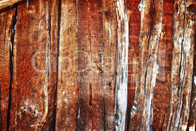 wood texture