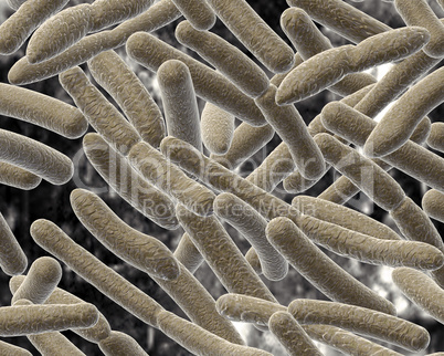 Bacillus on blurred background.