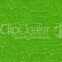 Green leaf seamless pattern.