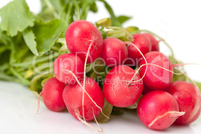 Radish with leaf