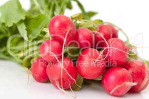 Radish with leaf