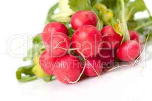 Radish with leaf