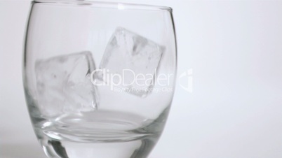 Eiswürfel fallen in ein Glas