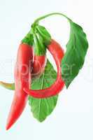 Three red pepper