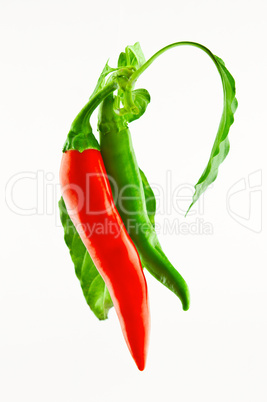 Two peppers, red and green
