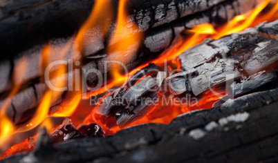 Fire close-up view