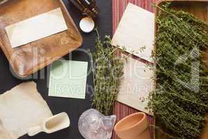 Thyme Background