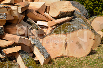 Holz hacken Feuerholz Esche Laubholz