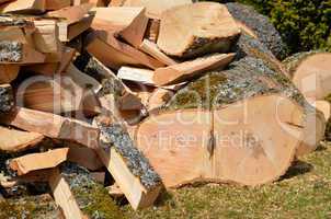 Holz hacken Feuerholz Esche Laubholz