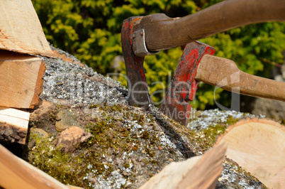 Holz hacken Feuerholz Esche Laubholz