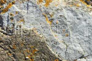 Stone partially covered with lichens