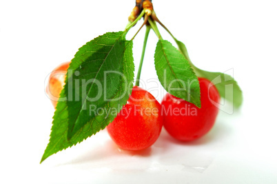 Cherry fruits