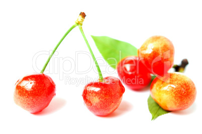 Cherry fruits