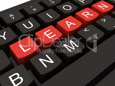 Computer keyboard with key Learn, internet education concept