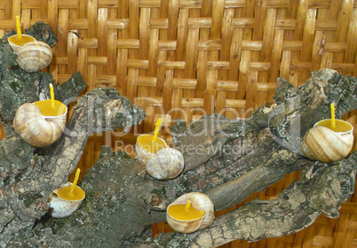 Beeswax candles votives in snail shell