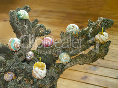 Painted beeswax candles votives in snail shell