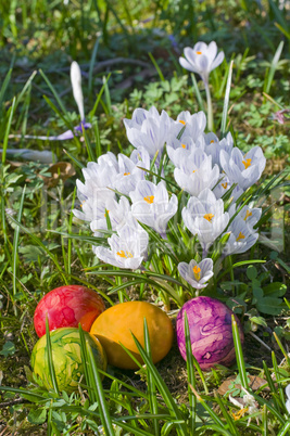 Ostereier auf einer Blumenwiese