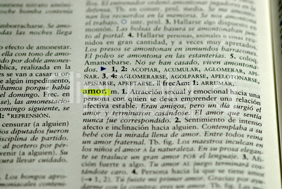 Picture of  Spanish dictionary word for love