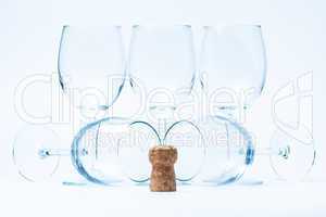 glass wine stand and lie symmetrically with cork