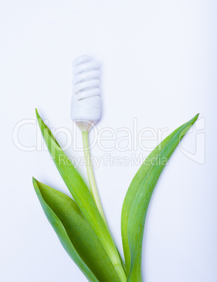 energy saving lamp a flower