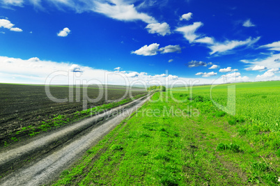 road in field