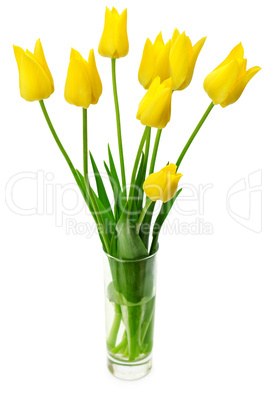 Bouquet of yellow tulips in a vase