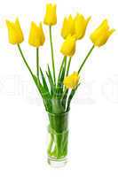 Bouquet of yellow tulips in a vase