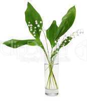 lily-of-the-valley (Convallaria majalis)
