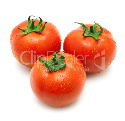 Tomatoes covered with rain drops