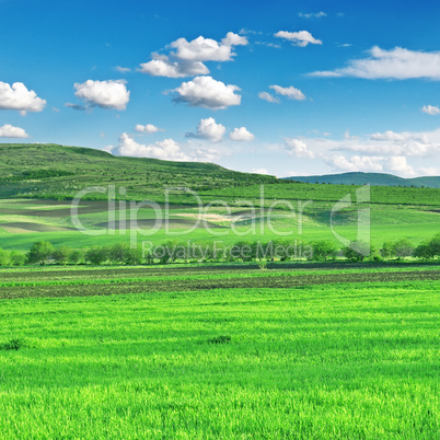Field, mountains and blue sky