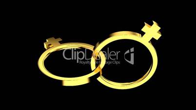 two gold rings for women