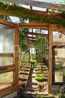 Private Greenhouse